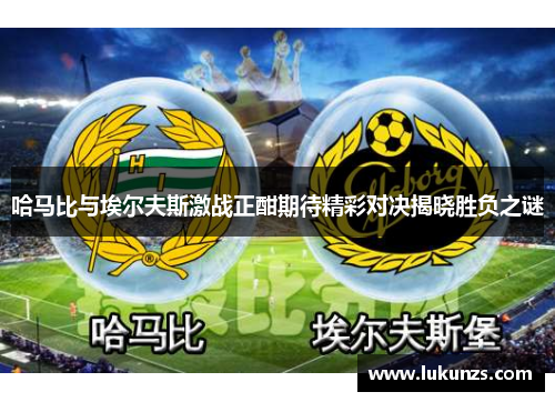 哈马比与埃尔夫斯激战正酣期待精彩对决揭晓胜负之谜